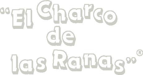 El Charco de las Ranas