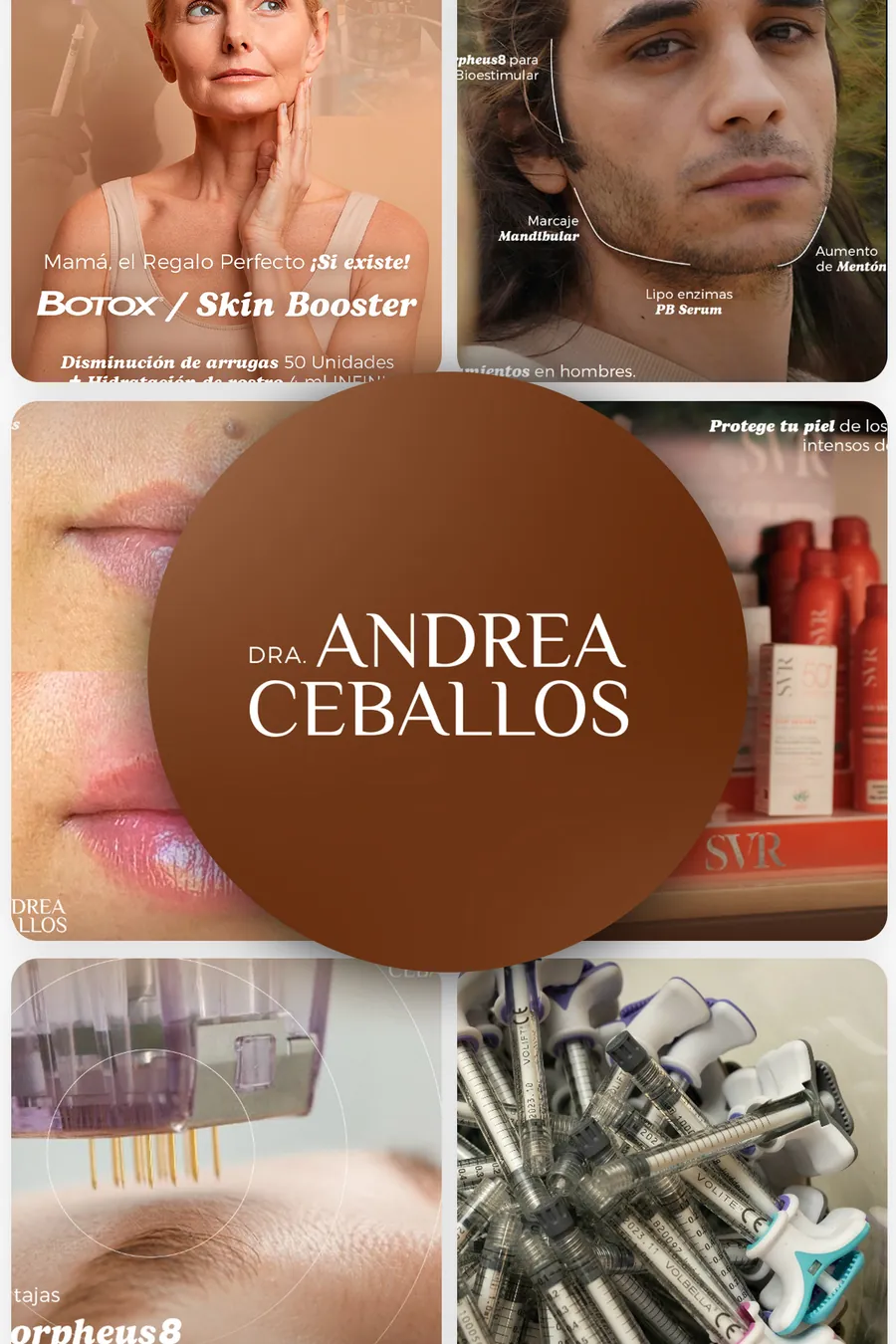 Trabajos de Dra. Andrea Ceballos