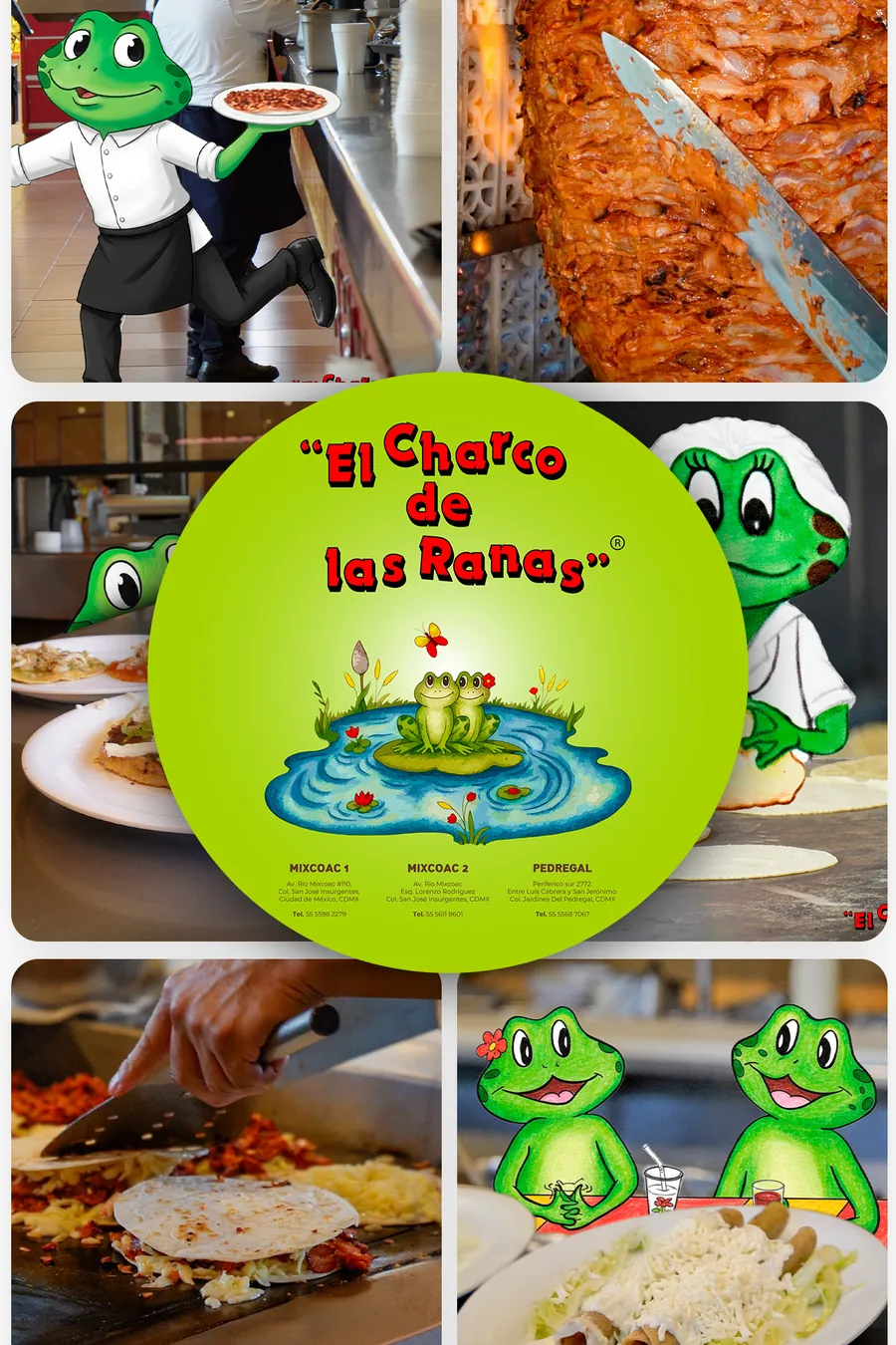 Trabajos de El Charco de las Ranas